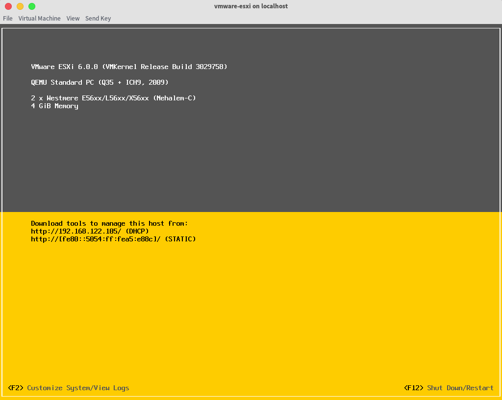 VMware ESXi running