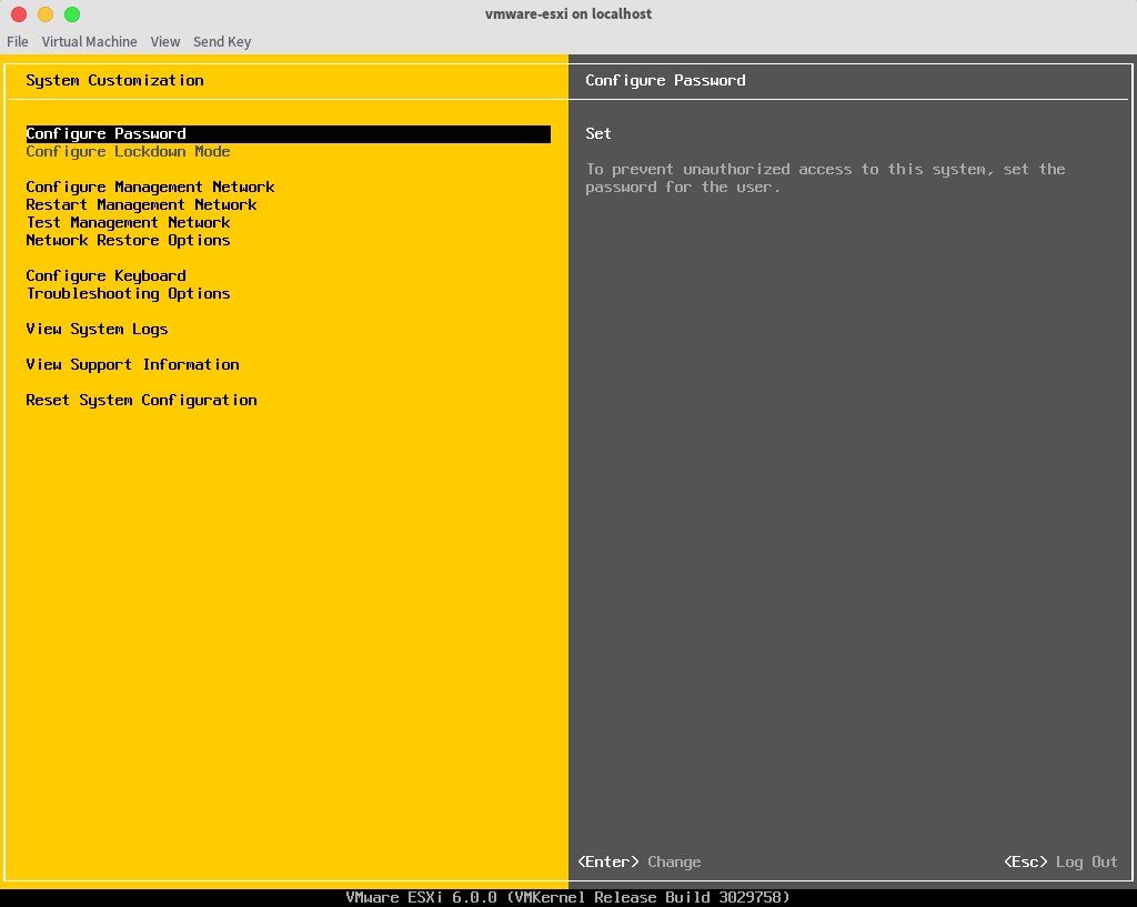 VMware ESXi running